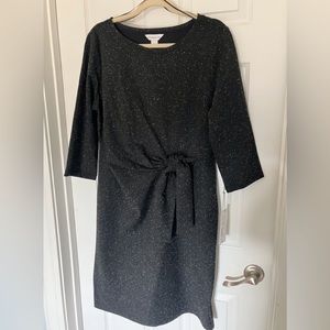 NWT Liz Claiborne dress. Size Large